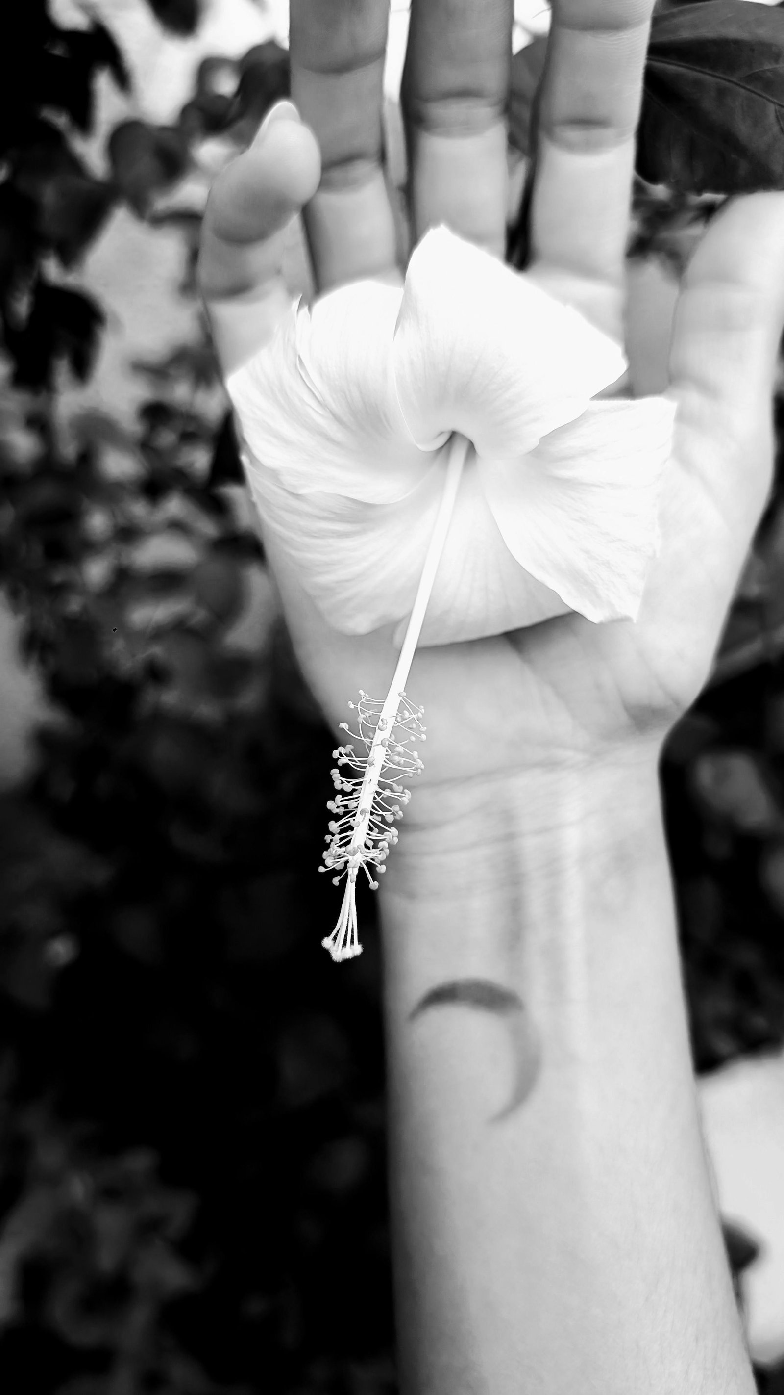 About 1 pexels disha sheta 596631 29664441 1